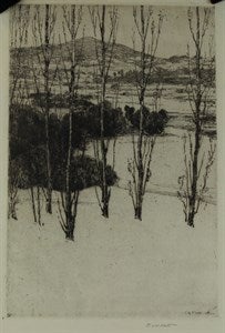 Image description is not available for DU1947.255